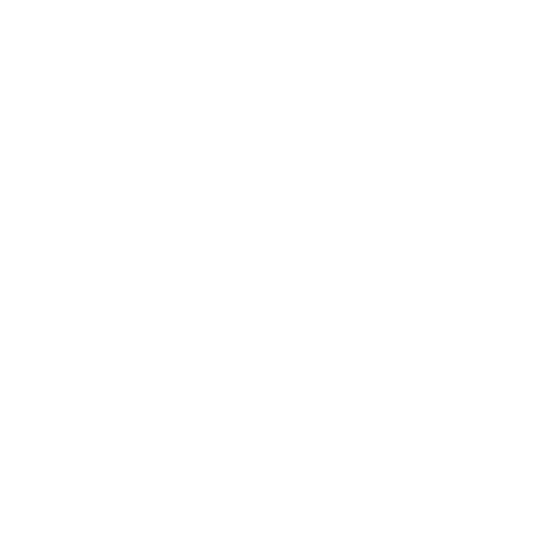 AE Logo